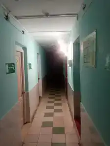 Багира - 2