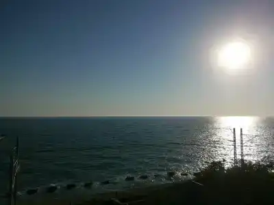 Фламинго - 62