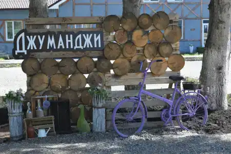 Джуманджи - 39