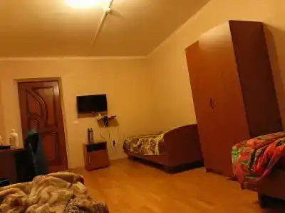 Медведев лес - 2