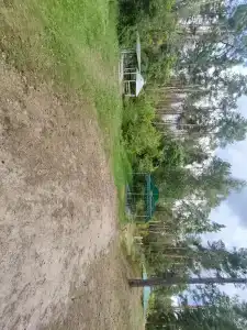 Сура - 36