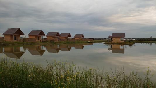 Заповедное - 26