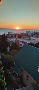 Пальмира - 94