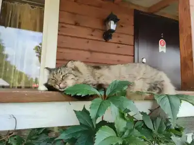 Тихий уголок - 41