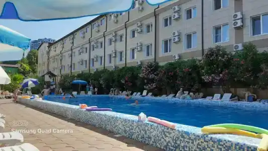 Азалия - 0