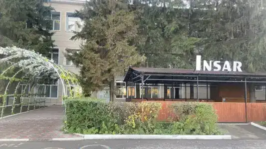 Инсар - 1