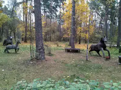 Красный Бор - 72