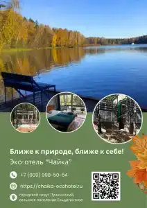 Чайка - 26