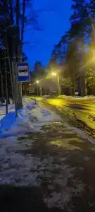 Звездочка - 17