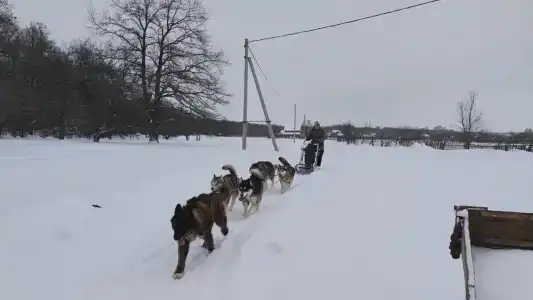 Кармалинская поляна - 39