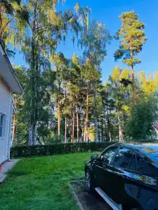 Аврора - 41