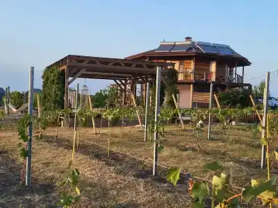 Фридом Веселовка