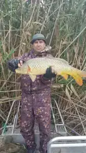 ПЛЕСъ - 36
