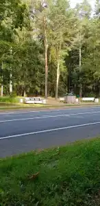 Белое солнце - 89