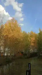 Успех - 17