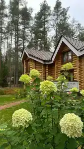 Морошка Эко Вилладж - 3