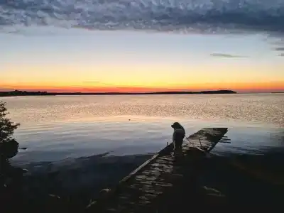 Коди Ярви - 24