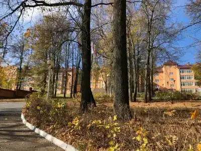 Газовик - 12