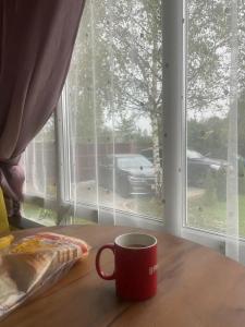 Метелица - 65