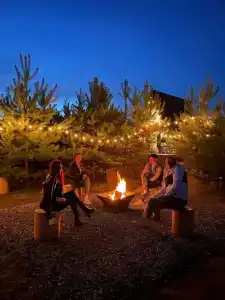 Forest camp - 2