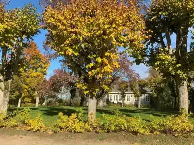 Пушкиногорье - 72