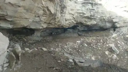 Могохсити - 60