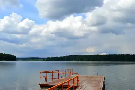 Лесная Жемчужина - 33