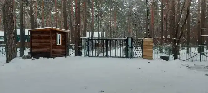 Сосновый бор - 82