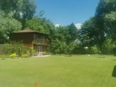 Светлана - 99