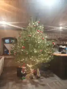 Лофт-отель Островский - 13