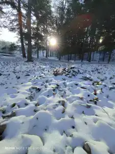 Океанский - 70