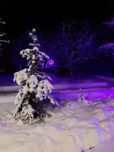 Абракадабра - 46