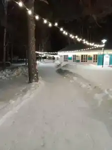 Буревестник - 35