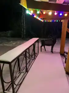 Фестиваль-Парк - 86