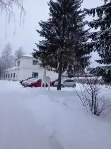 Санаторий им. А.П. Бородина - 38