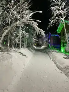 Арктик Хоум - 16