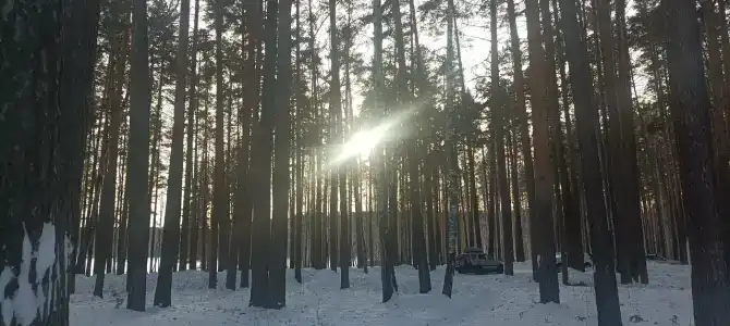 База Путеец - 44