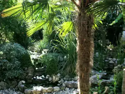 София - 10