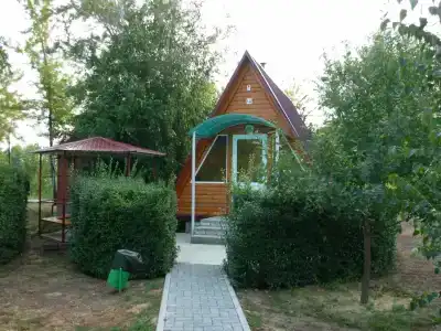 Осинки - 7