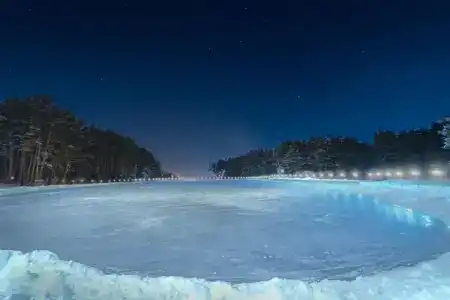 Сова - 24