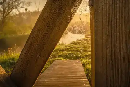 Беловежское Поместье - 25