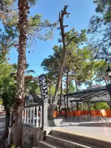 Senza Garden HolİDay Club - 96