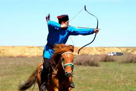 Степняк - 86