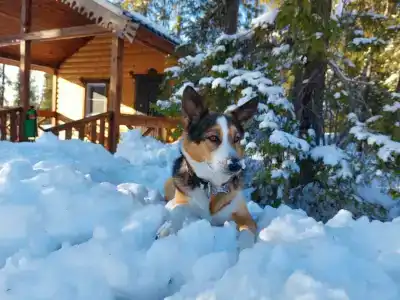 Лапландская деревня - 28