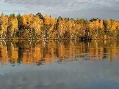 Озеро светлое - 28