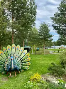 Черные камни - 35