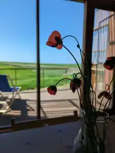 Фридом Веселовка - 74