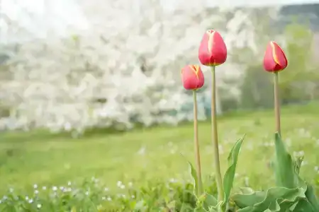 Винодельня Варнаутка - 31