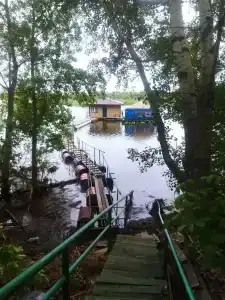Зеленые ворота - 21