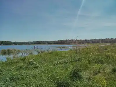 Бурдиха - 17
